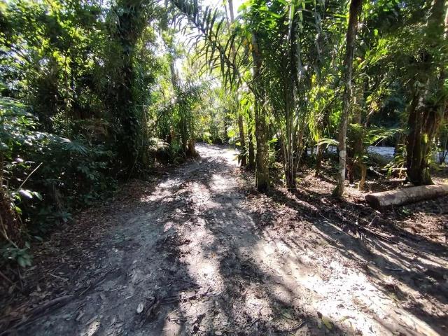 Terreno venda em Morretes, Região Geográfica Intermediária de Curitiba