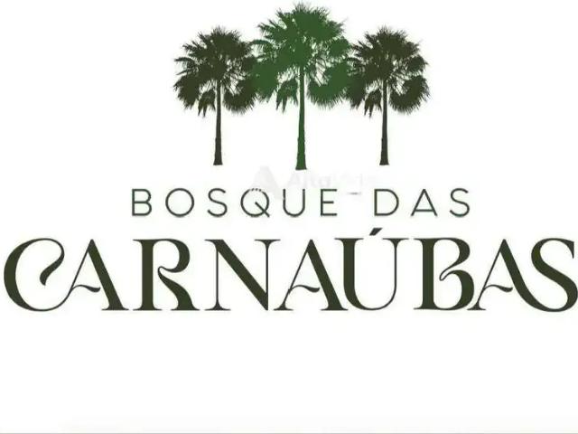 Terreno venda em Região Geográfica Imediata de Mossoró, Açu