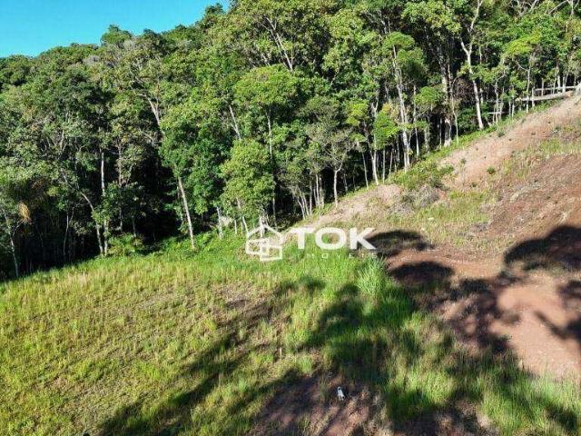Terreno venda em Região Geográfica Imediata de Itajaí, Navegantes