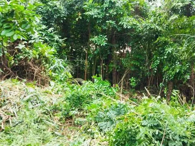 Terreno venda em Região Pendotiba, Niterói