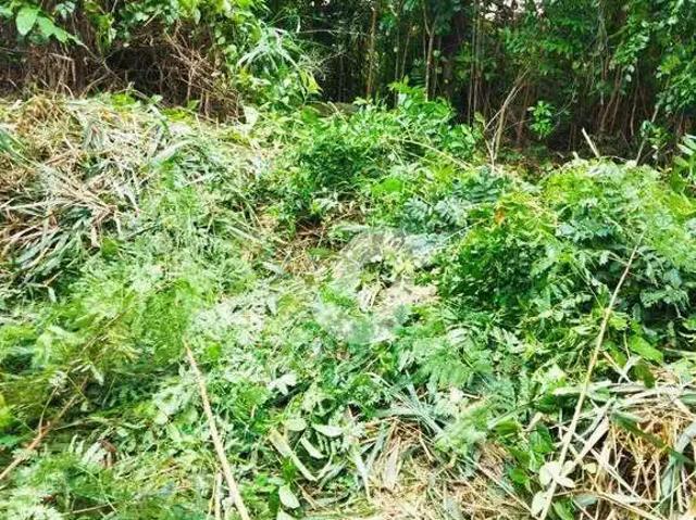 Terreno venda em Região Geográfica Imediata do Rio de Janeiro, Região Metropolitana do Rio de Janeiro