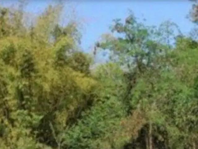 Terreno venda em Região Geográfica Imediata do Rio de Janeiro, Região Metropolitana do Rio de Janeiro