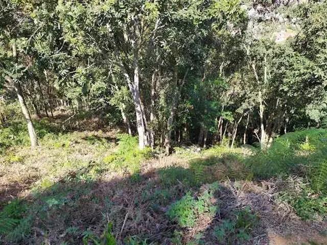 Terreno venda em Nova Friburgo, Região Geográfica Intermediária de Petrópolis