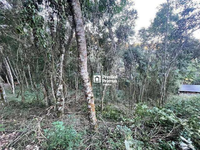 Terreno venda em Região Geográfica Imediata de Nova Friburgo, Nova Friburgo