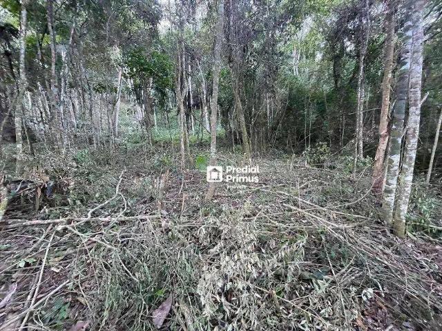 Terreno venda em Região Geográfica Imediata de Nova Friburgo, Nova Friburgo