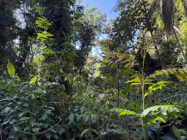 Terreno venda em Região Geográfica Imediata de Nova Friburgo, Nova Friburgo