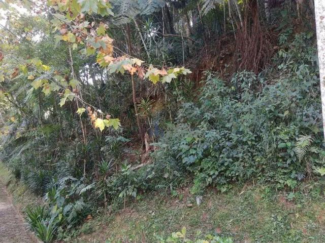 Terreno venda em Região Geográfica Imediata de Nova Friburgo, Nova Friburgo