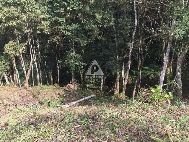 Terreno venda em Região Geográfica Imediata de Nova Friburgo, Nova Friburgo