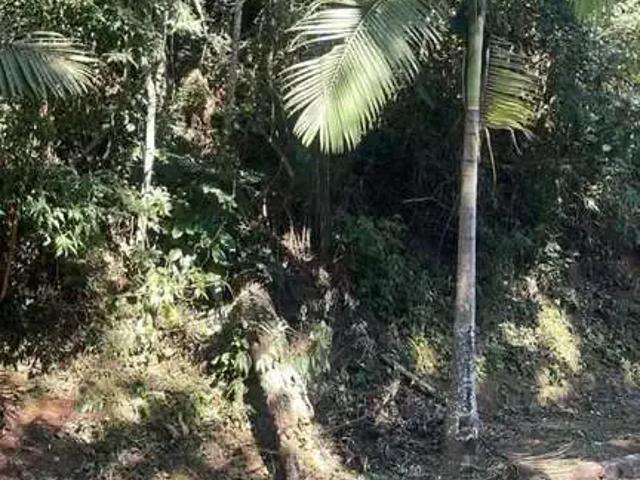 Terreno venda em Região Geográfica Imediata de Nova Friburgo, Nova Friburgo