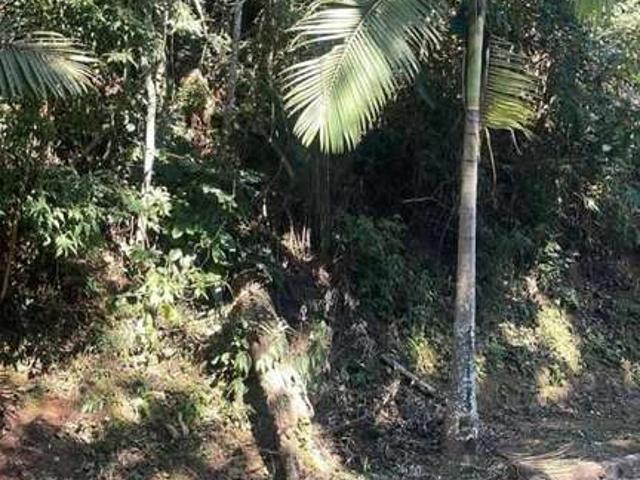 Terreno venda em Nova Friburgo