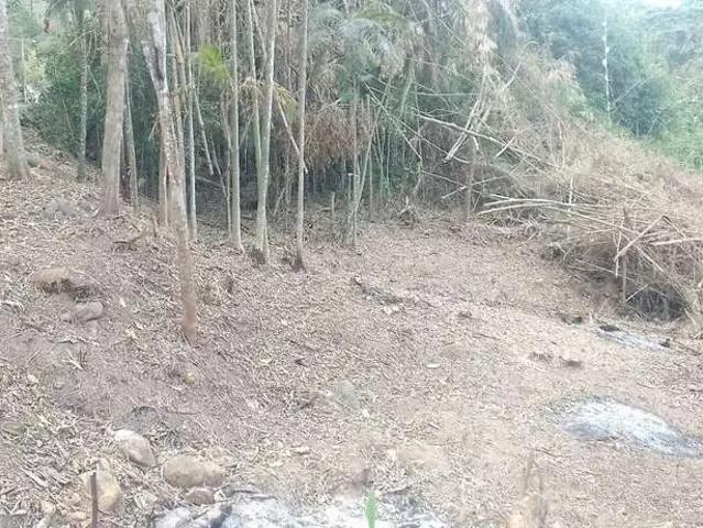 Terreno venda em Região Geográfica Imediata de Nova Friburgo, Nova Friburgo