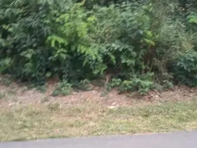 Terreno venda em Região Geográfica Imediata de Belo Horizonte, Região Metropolitana de Belo Horizonte
