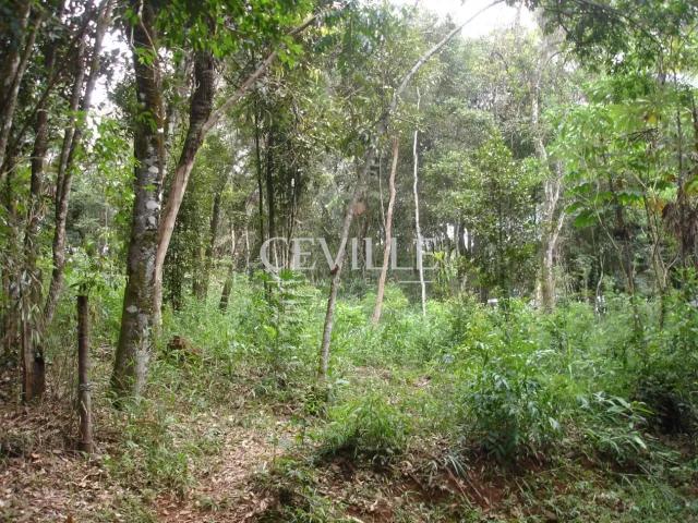Terreno venda em Bosque do Jambreiro, Nova Lima