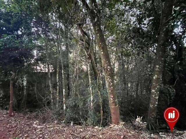 Terreno venda em Região Geográfica Imediata de Belo Horizonte, Região Metropolitana de Belo Horizonte