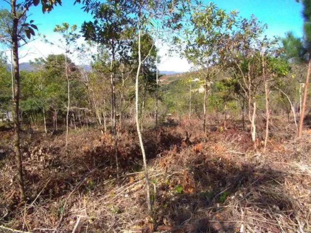 Terreno venda em Região Geográfica Imediata de Belo Horizonte, Região Metropolitana de Belo Horizonte