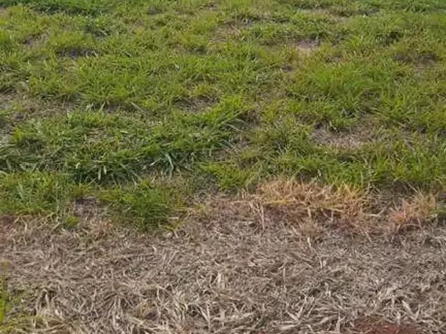 Terreno venda em Região Imediata de Campinas, Região Metropolitana de Campinas