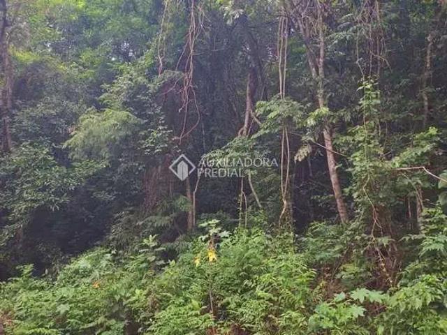 Terreno venda em Região Geográfica Imediata de Caxias do Sul, Nova Petrópolis