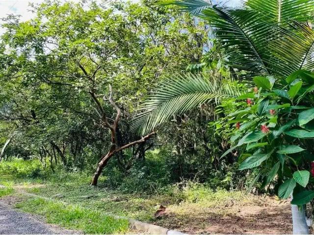 Terreno venda em Região Geográfica Imediata de Porto Alegre, Região Metropolitana de Porto Alegre
