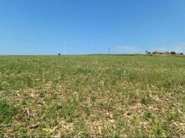 Terreno venda em Região Geográfica Imediata de Pitanga, Nova Tebas