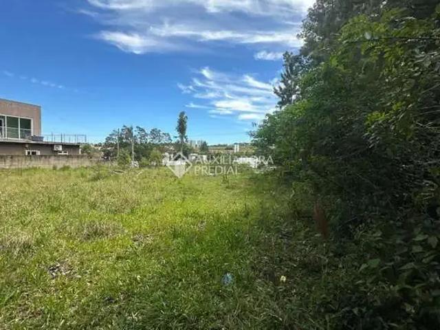Terreno venda em Novo Hamburgo