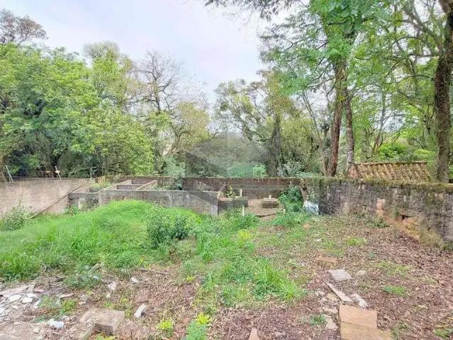 Terreno venda em Região Geográfica Imediata de Novo Hamburgo - São Leopoldo, Região Metropolitana de Porto Alegre