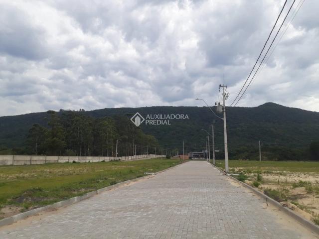 Terreno venda em Osório