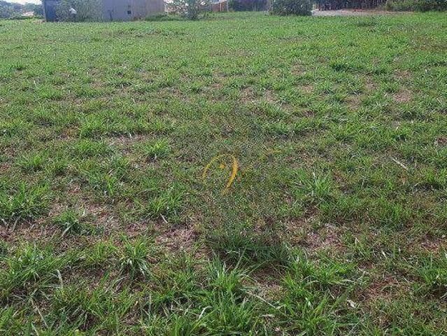 Terreno venda em Palestina