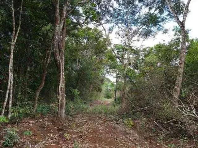 Terreno venda em Região Geográfica Imediata de Seabra, Palmeiras