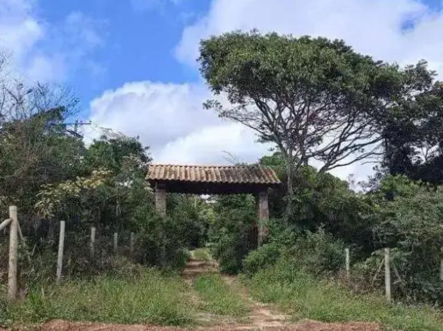 Terreno venda em Região Geográfica Imediata de Seabra, Palmeiras