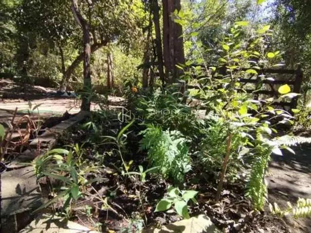Terreno venda em Região Geográfica Imediata de Seabra, Palmeiras