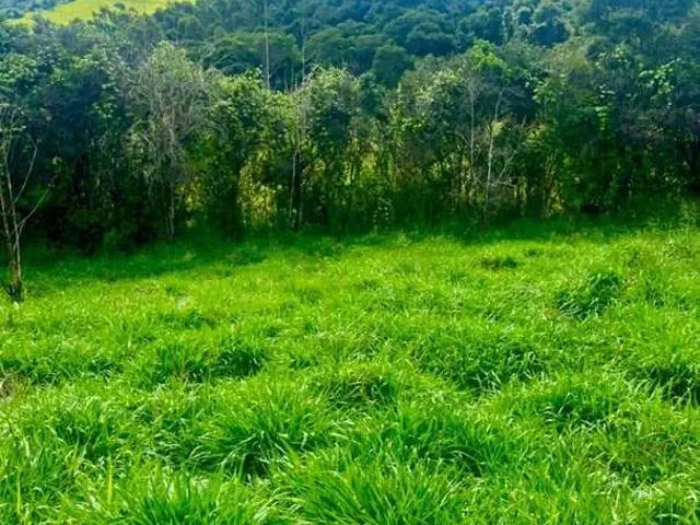 Terreno venda em Paraisópolis, Região Geográfica Intermediária de Pouso Alegre
