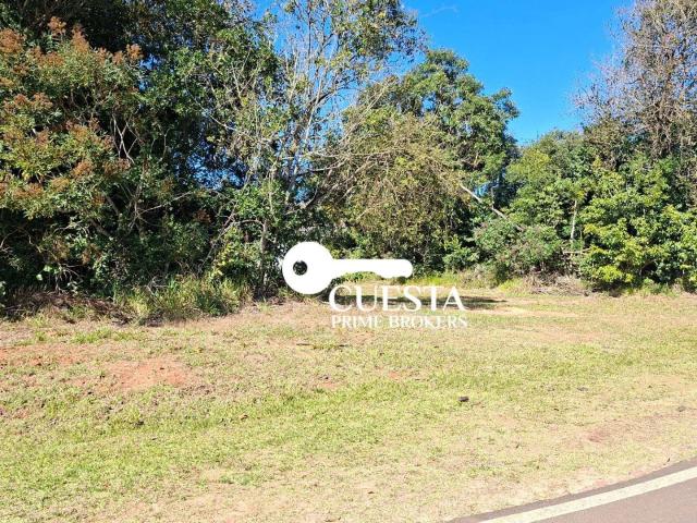 Terreno venda em Pardinho