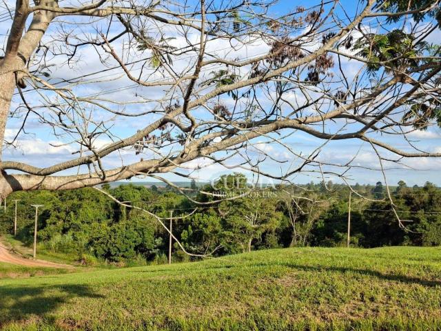 Terreno venda em Pardinho