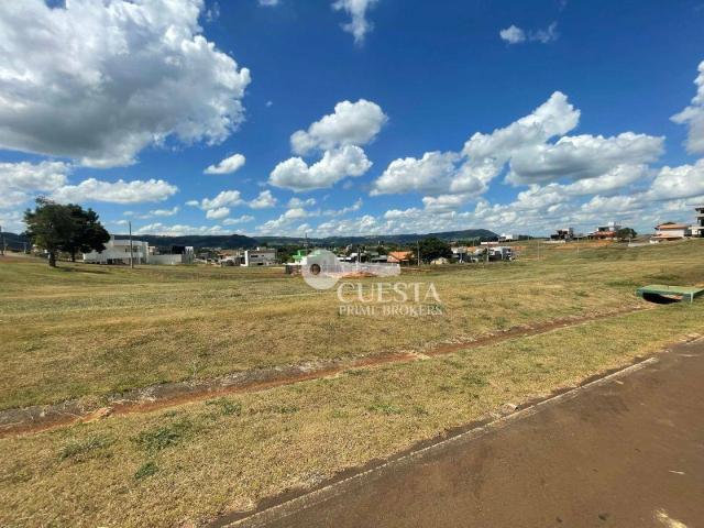 Terreno venda em Pardinho