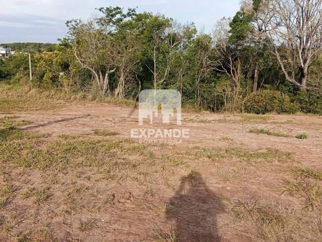 Terreno venda em Pardinho