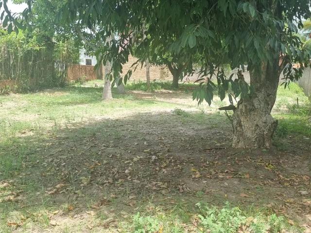 Terreno venda em Paripueira