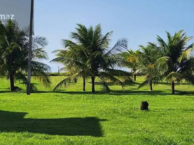 Terreno venda em Paripueira