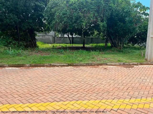 Terreno venda em Região Geográfica Imediata de Natal, Parnamirim
