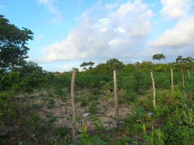 Terreno venda em Região Geográfica Imediata de Natal, Parnamirim