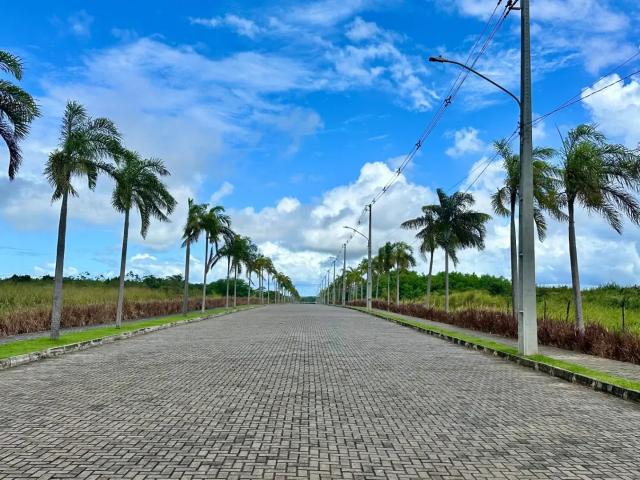 Terreno venda em Região Geográfica Imediata de Natal, Parnamirim