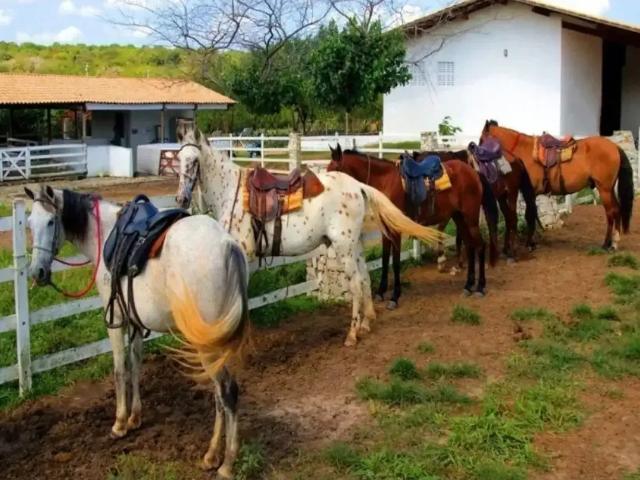 Terreno venda em Região Geográfica Imediata de Natal, Parnamirim