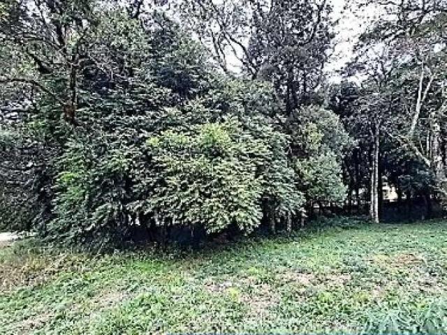Terreno venda em Região Geográfica Imediata de Passo Fundo, Passo Fundo