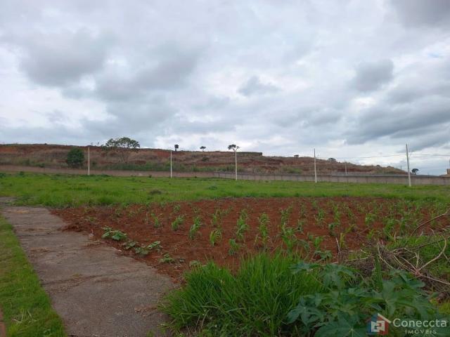 Terreno venda em Alto Caiçaras, Patos de Minas