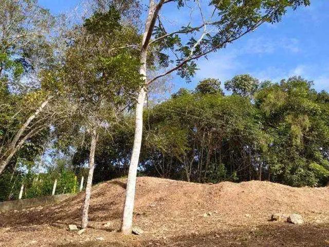 Terreno venda em Região Geográfica Imediata do Recife, Paudalho