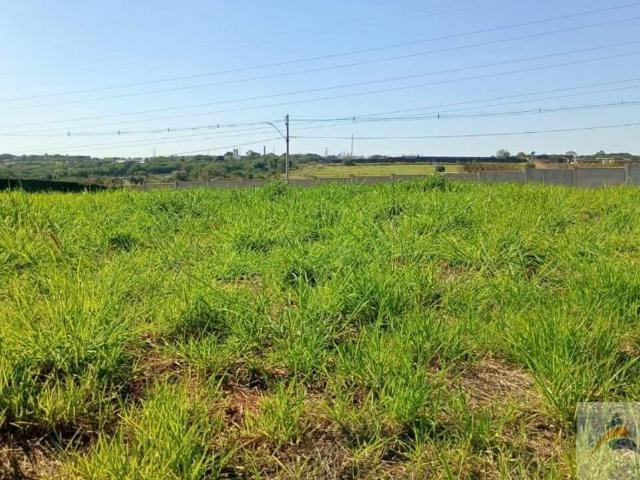 Terreno venda em Jardim Fortaleza, Paulínia