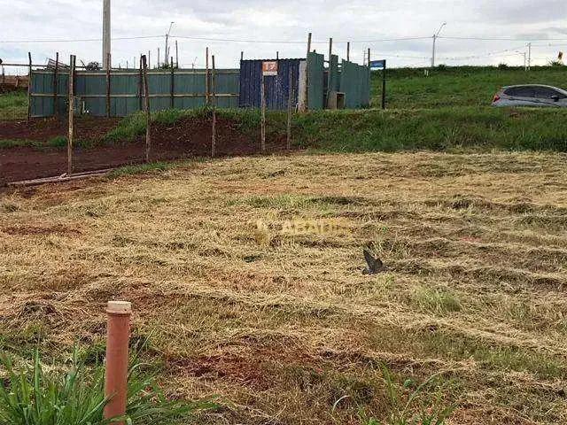 Terreno venda em Região Imediata de Votuporanga, Cardoso
