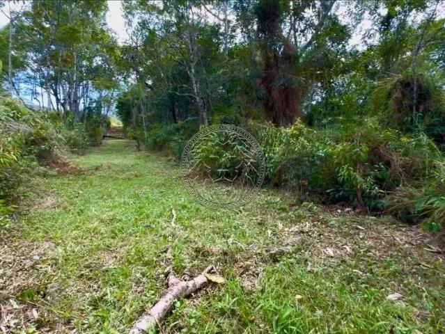 Terreno venda em Paulo Lopes, Região Geográfica Intermediária de Florianópolis