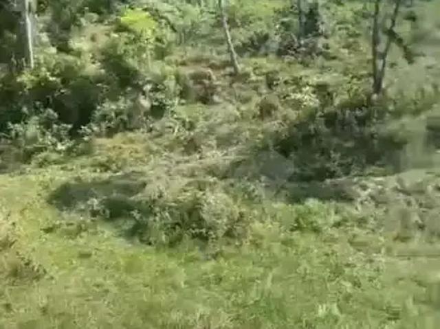 Terreno venda em Região Geográfica Imediata de Florianópolis, Paulo Lopes