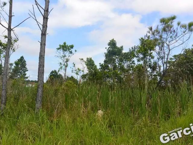 Terreno venda em Região Imediata de Santos, Região Metropolitana da Baixada Santista
