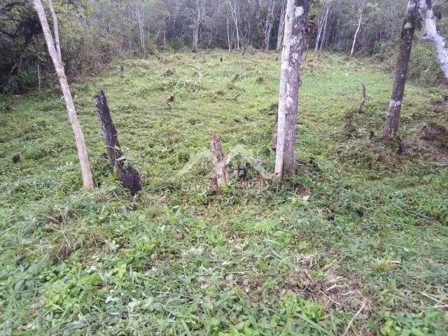 Terreno venda em Região Imediata de Santos, Região Metropolitana da Baixada Santista